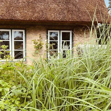 公寓 Bernstorfshof *