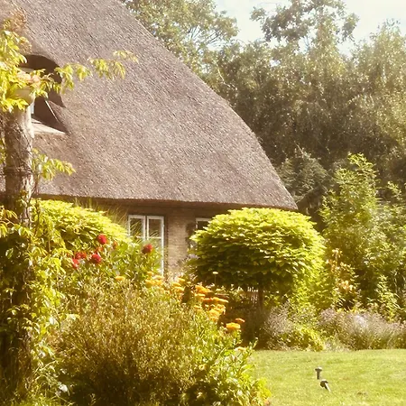 Bernstorfshof 公寓 Jübek