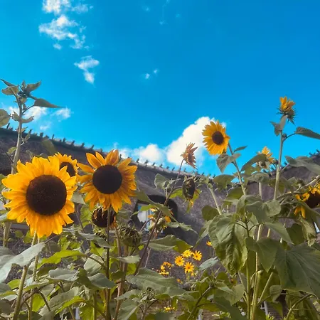 Bernstorfshof 公寓